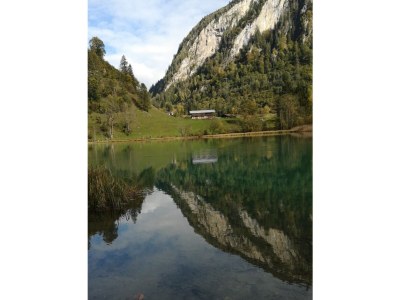 Holiday apartment Haus Wilhelmina - Environment photo 24