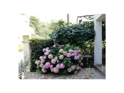 Apartment Villa Matic - Outdoor photo 4