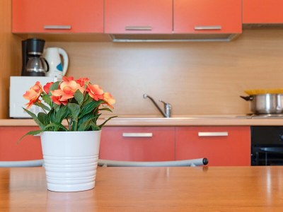 Apartment La Mimosa B03 - Features photo 16