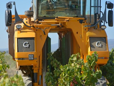 Villa Villa Retreat mit Pool und Haustieren - Environment photo 34