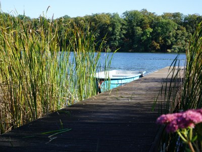 Holiday apartment “Haus am See” - Outdoor photo 7