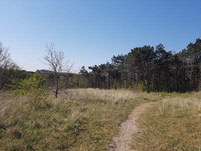 Holiday apartment Burgermeister - Environment photo 13