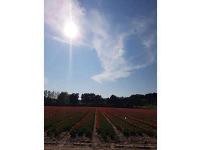 Holiday apartment Burgermeister - Environment photo 14