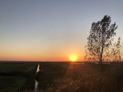 Holiday house Villa Pebble - Environment photo 16