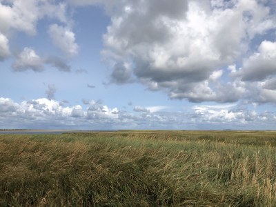 Holiday house Villa Pebble - Environment photo 18