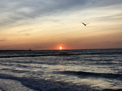 Holiday house Villa Pebble - Environment photo 19