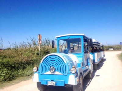 Holiday apartment Ferreri-Private Garden, 350m beach, Parking - Environment photo 24