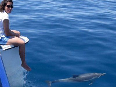 Holiday apartment Ferreri-Private Garden, 350m beach, Parking - Environment photo 29