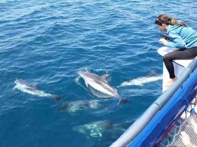 Holiday house Casa Connie near  the beach - Environment photo 36