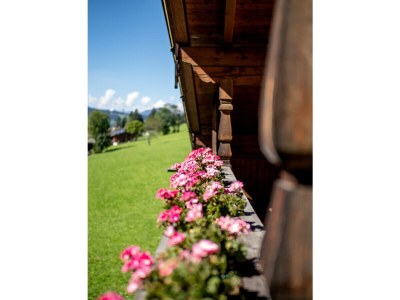Holiday apartment Landhaus Alpach App III - Outdoor photo 8