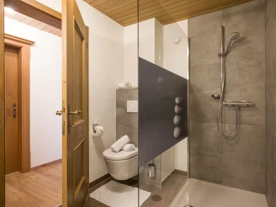 Holiday apartment Landhaus Alpach App III - Features photo 12