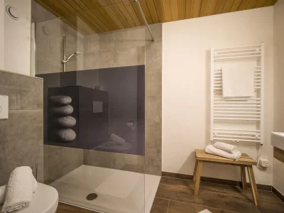 Holiday apartment Landhaus Alpach App III - Features photo 13