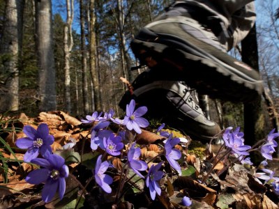 Holiday apartment Landhaus Alpach App III - Environment photo 22