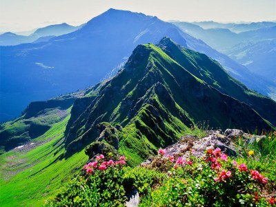 Holiday apartment Landhaus Alpach App III - Environment photo 23