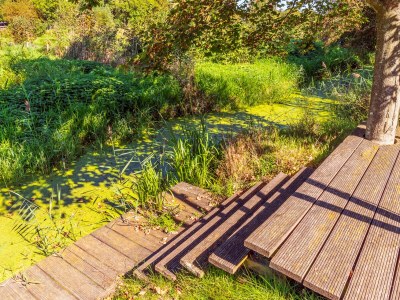 Holiday house Avondrood - Outdoor photo 8
