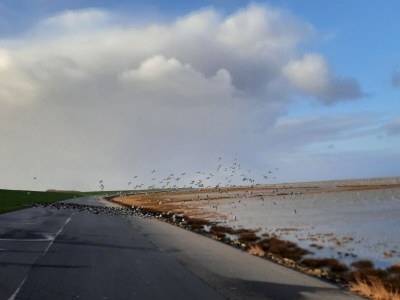 Apartment Leuchtturm im Haus Arielle am Meer - Environment photo 25
