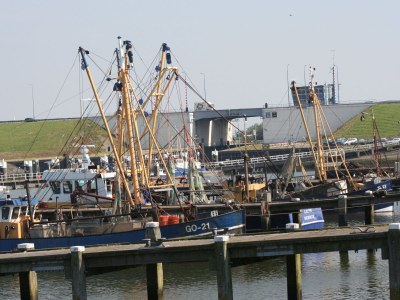 Holiday house Huijsmansverhuur Type Premium de Luxe Plus Pinusoord 7 - Environment photo 33