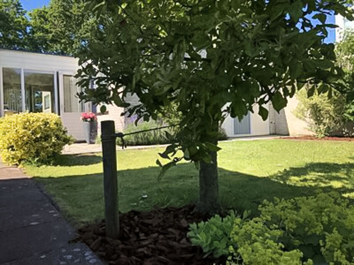 Holiday house Huijsmansverhuur Type C Comfort Plus Berk 13 - Outdoor photo 5