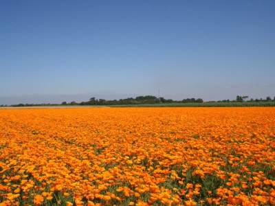 Holiday house Huijsmansverhuur Type C Comfort Plus Berk 13 - Environment photo 26