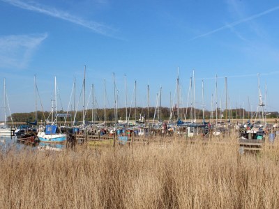 Holiday apartment Herrenhaus Blengow - Environment photo 17