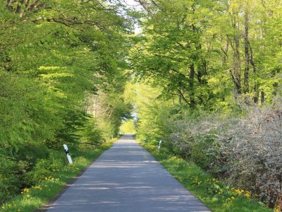 Holiday apartment Herrenhaus Blengow - Environment photo 19