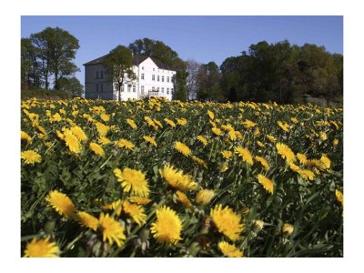 Holiday apartment Herrenhaus Blengow - Outdoor photo 24