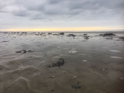 Chalet La p’tite Dune - Environment photo 14