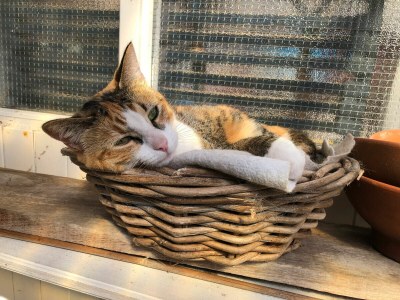 Holiday apartment Beemsterboer - Outdoor photo 3