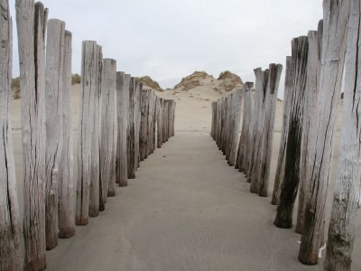 Villa Strandlaan 19 - Environment photo 30