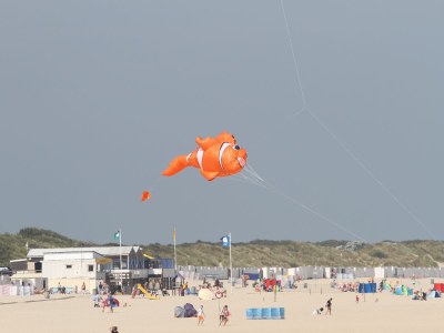 Villa Strandlaan 19 - Environment photo 31