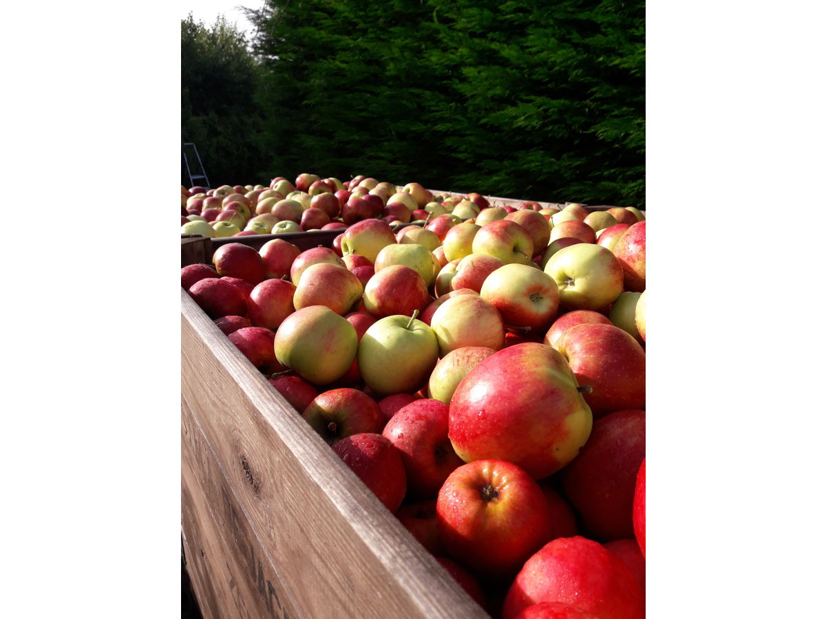 Holiday apartment Mallemolen - Outdoor photo 4