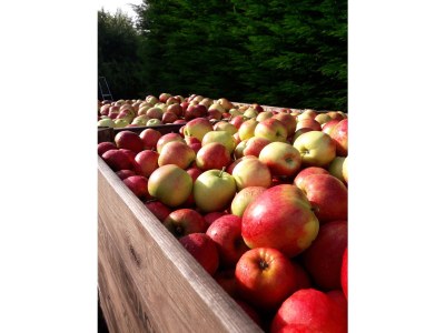 Holiday apartment Mallemolen - Outdoor photo 4