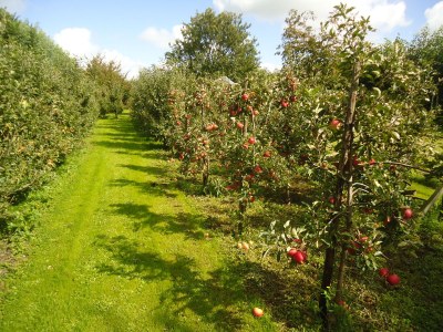 Holiday apartment Mallemolen - Outdoor photo 8