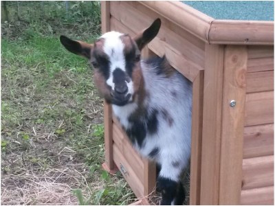 Holiday apartment Mallemolen - Outdoor photo 9