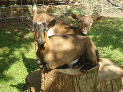 Holiday apartment Mallemolen - Outdoor photo 10