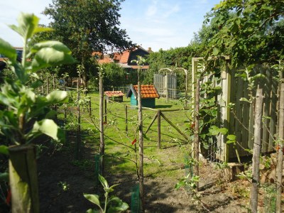 Holiday apartment Mallemolen - Outdoor photo 11