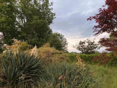 Holiday house Ferienhaus in Luzy mit eingezäuntem Garten - Environment photo 27