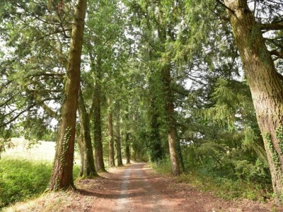 Holiday house Ferienhaus in Luzy mit eingezäuntem Garten - Environment photo 28