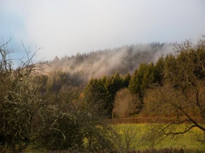 Holiday house Ferienhaus in Luzy mit eingezäuntem Garten - Environment photo 34