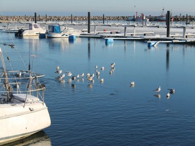 Apartment Wohnung in Wittenbeck mit Terrasse - Environment photo 31