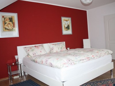 Holiday apartment Zum Jammertal - Features photo 26