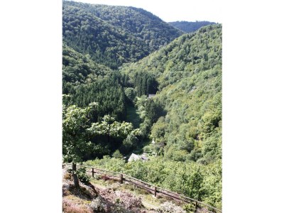 Holiday apartment Zum Jammertal - Environment photo 37