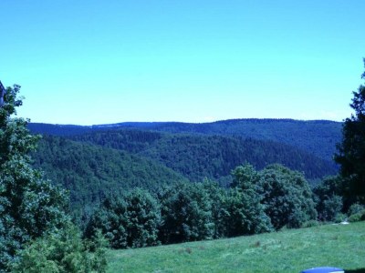 Apartment Einladende Ferienwohnung mit Garten - Environment photo 18