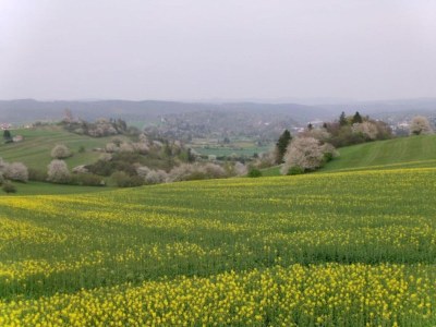 Apartment Einladende Ferienwohnung mit Garten - Environment photo 19