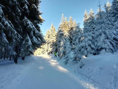 Apartment Einladende Ferienwohnung mit Garten - Environment photo 22