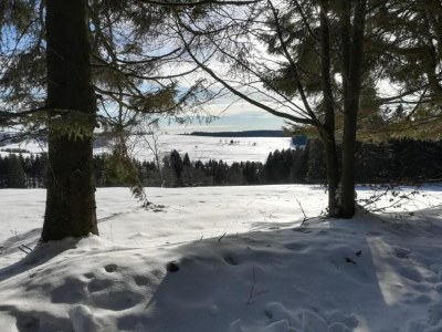 Apartment Einladende Ferienwohnung mit Garten - Environment photo 26