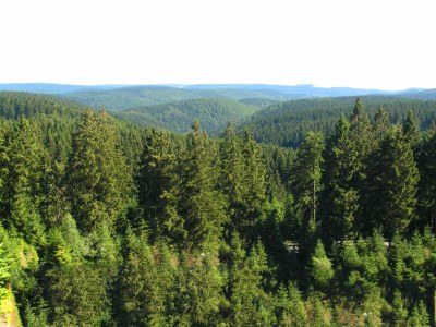 Apartment Einladende Ferienwohnung mit Garten - Environment photo 27