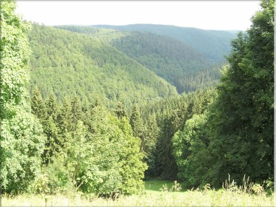 Apartment Einladende Ferienwohnung mit Garten - Environment photo 28