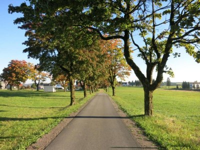 Apartment Einladende Ferienwohnung mit Garten - Environment photo 31