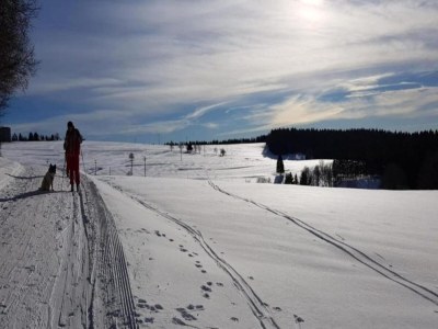 Apartment Einladende Ferienwohnung mit Garten - Environment photo 32